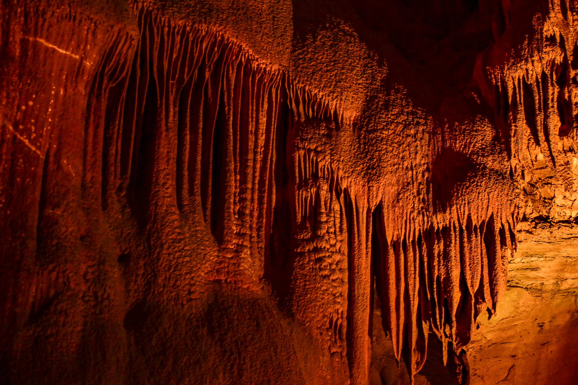 Mammoth Cave NP